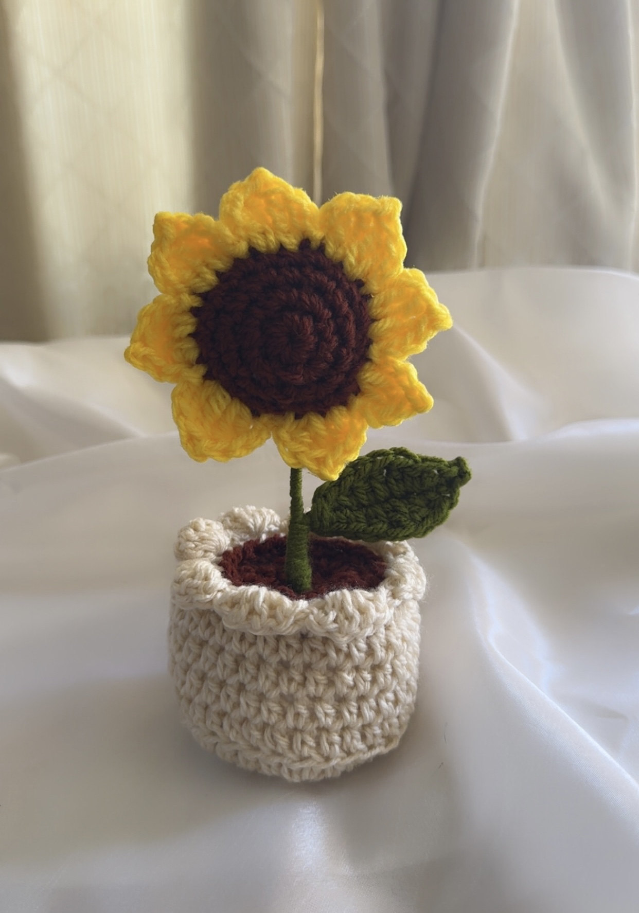Flowers Pot